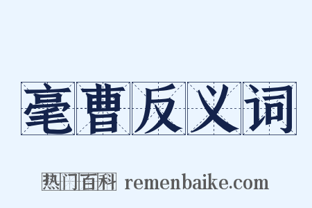 毫曹反义词是什么意思的图片
